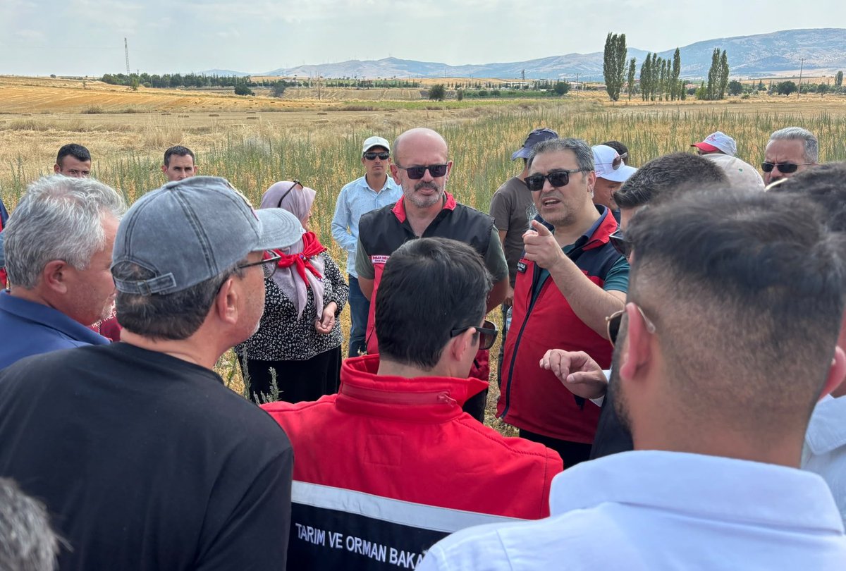 afyontarimorman's tweet photo. BORSA 20 ve Çiftçi Nohut Çeşitleri İçin Tarla Günü

Tarım ve Orman Bakanlığımız Eğitim ve Yayın Dairesi Başkanlığı destekleriyle yürütülen projeler kapsamında, Sandıklı Ballık Köyü'nde Tarla Günü düzenlendi. https://t.co/bAKKMY9rfM
