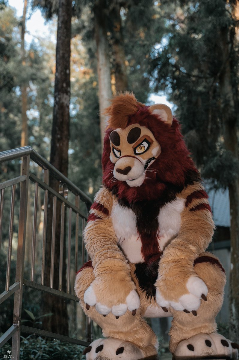 PaderLion_Fur's tweet photo. ✂️：@BK_fursuit
📷：@bluetoufu3

#FursuitFriday https://t.co/msR56VU8y4