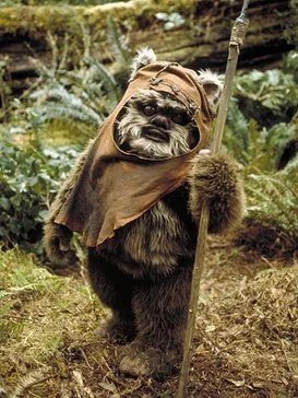 sailoridiot1000's tweet photo. mi amigo me mando una foto de su gato y me dijo que es un ewok https://t.co/RPQwhiH7KV