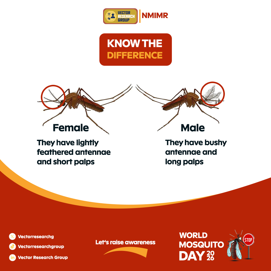 vectorresearchg's tweet photo. Not all mosquitoes are the same!
Male: Feathery antennae, feed on nectar, don't bite people.
Female: Less feathery antennae, need a blood meal to develop eggs, and are the ones that bite. 
Next time you see a mosquito, look closely,you might be able to tell the difference! https://t.co/LHGN2fwe68