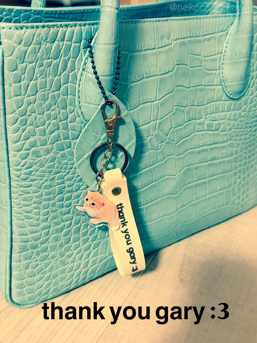 prajna_ats's tweet photo. @arigatogary 小さなゲイリーとおでかけするよ👜🩵
ありがとうゲイリー:3 https://t.co/Rqqe8MVdeZ