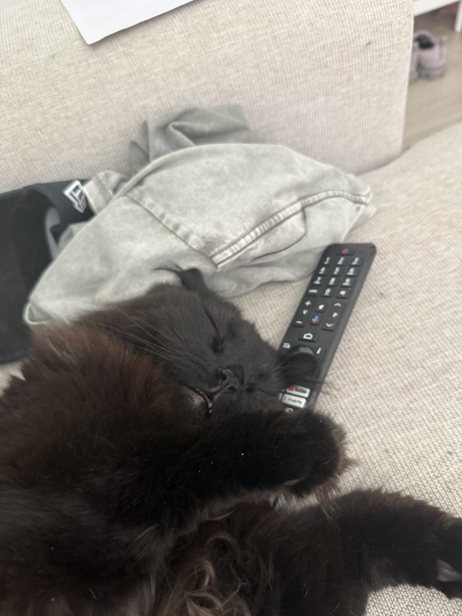 ha_nnxh's tweet photo. remote pillow https://t.co/w0Kx3mau0m