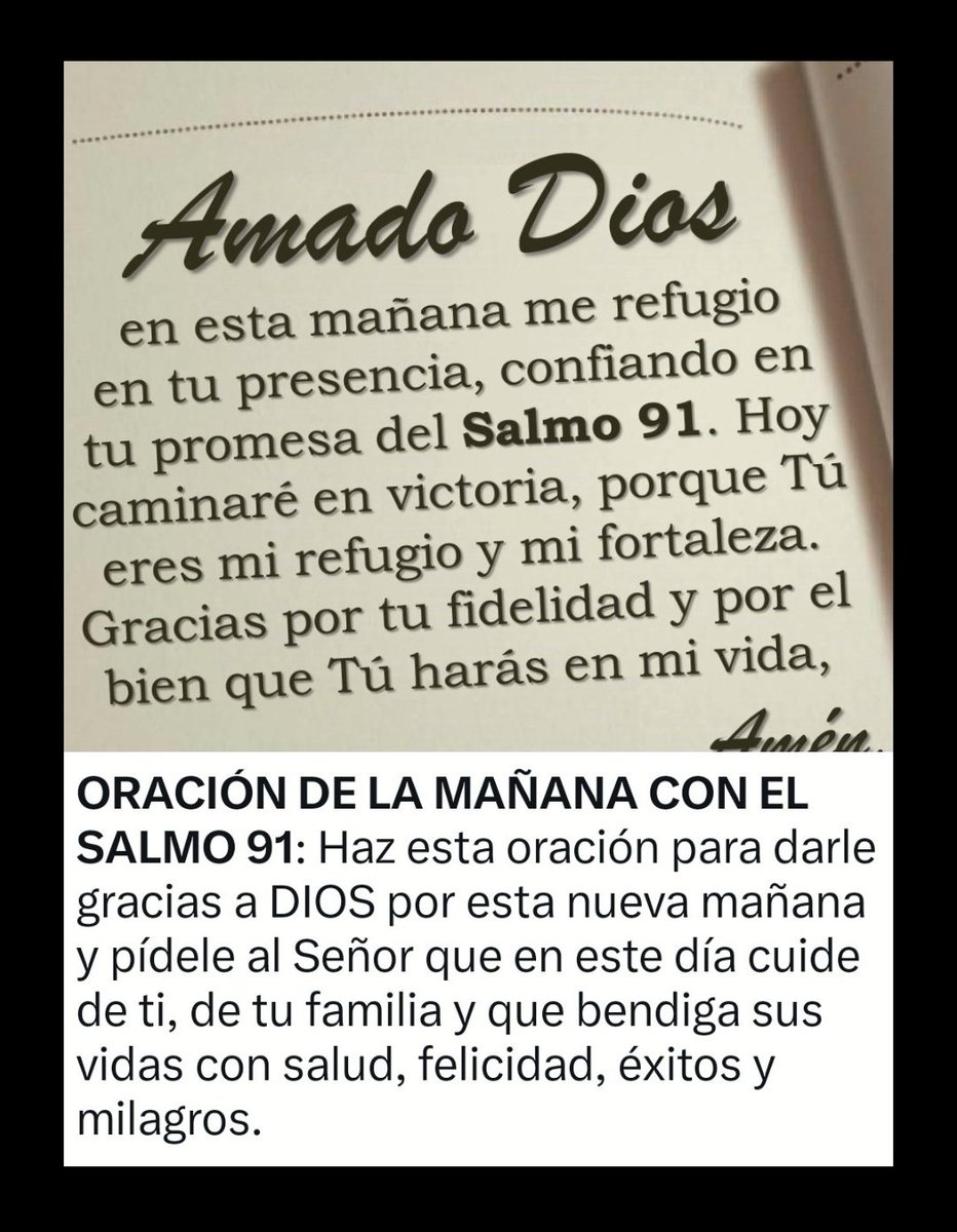 Serrano416's tweet photo. Buen día amiga 👋🤝 
@PERLA35444580 https://t.co/rksydveqSl