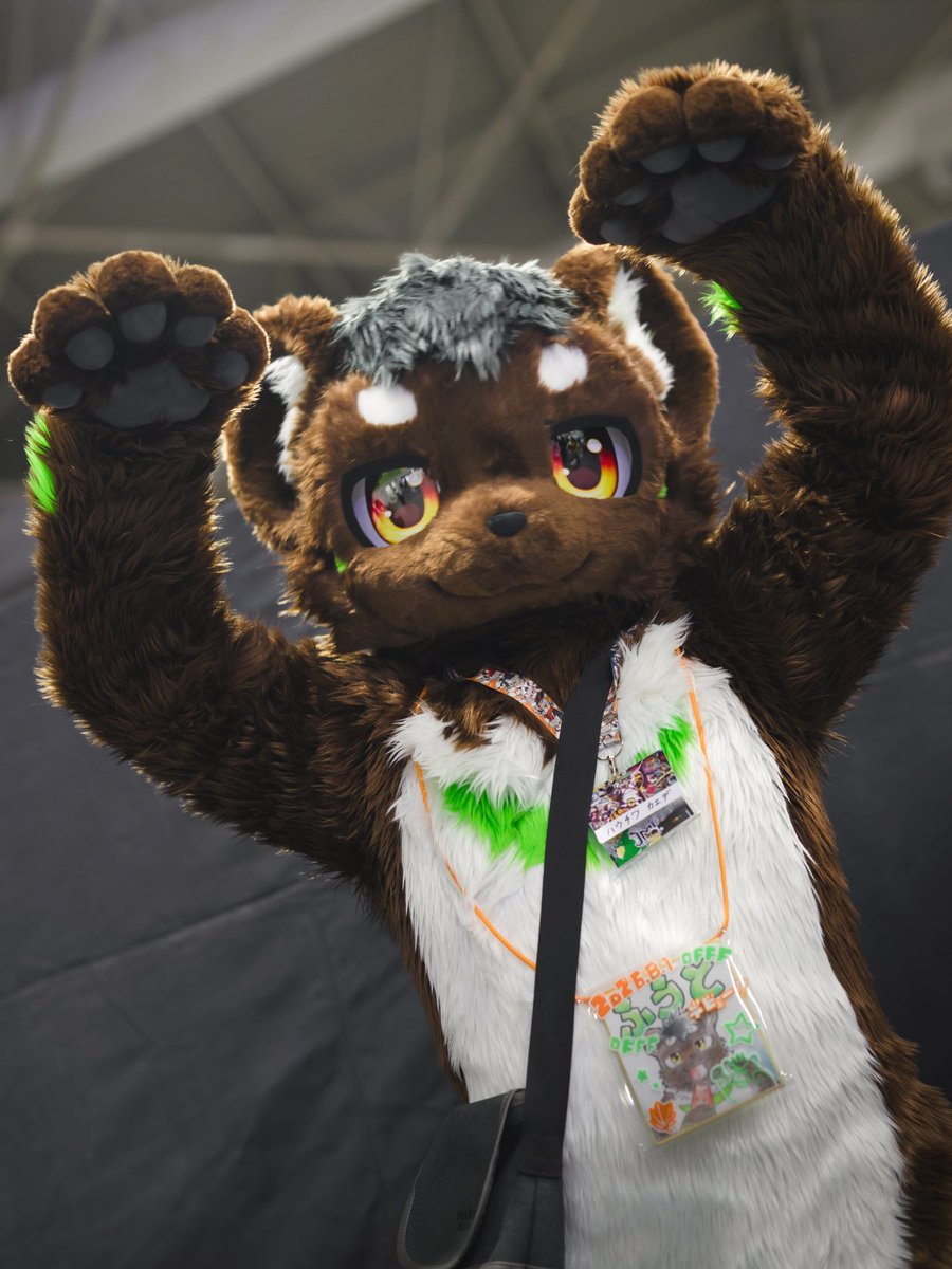 Fuuto_kuma's tweet photo. がおーー！！
おかしをよこせー！！

📷 @boodaiz https://t.co/uFFIIxI6XR