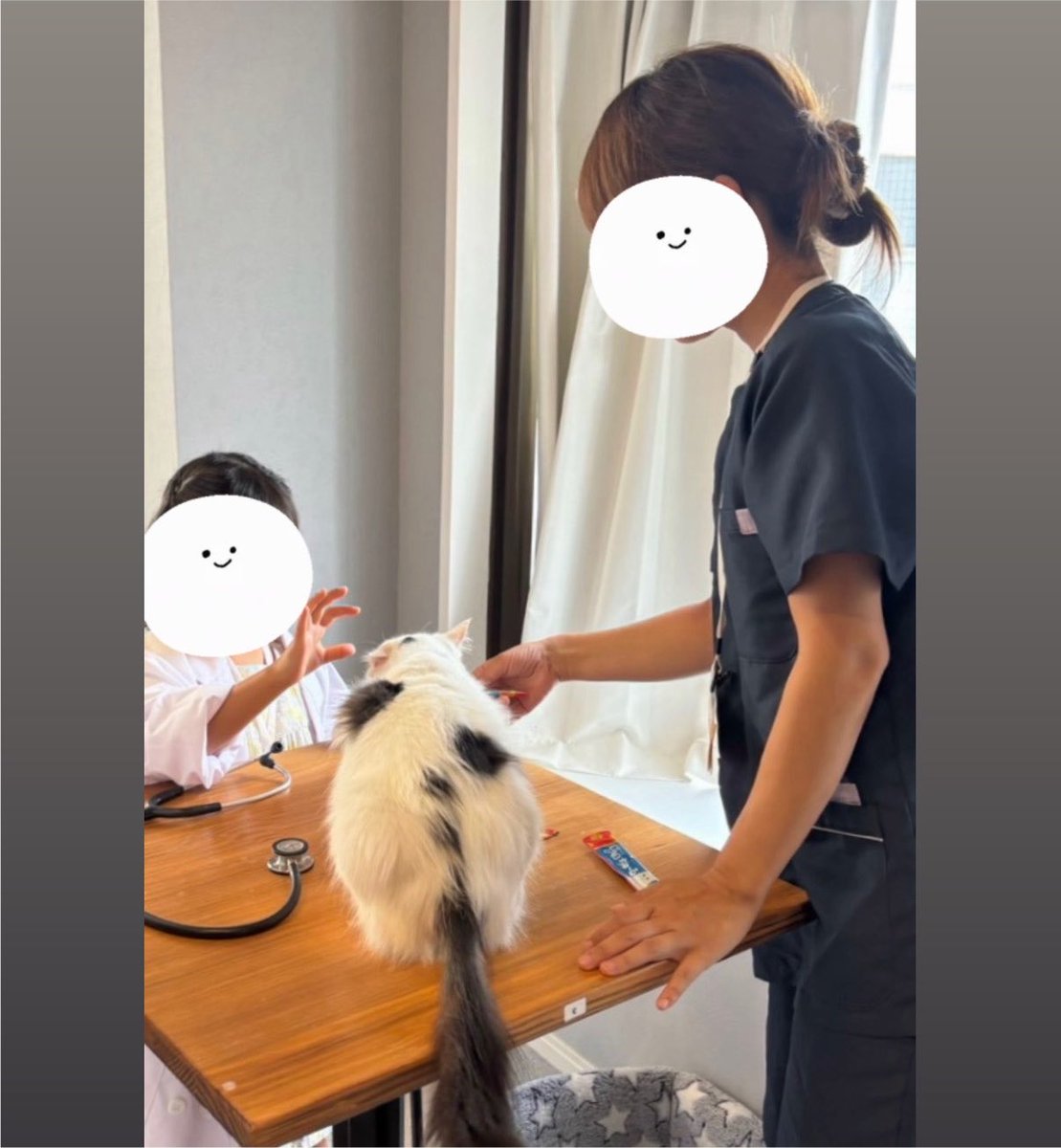 nnnvm0225's tweet photo. 😺獣医師体験イベント🐶🩺🫀

全日程、定員🈵に達しました。
次回も長期休みに予定してます✨

地域の皆様にもっと愛されるお店になり
たくさんの保護犬、保護猫との
幸せなご縁を紡げるような
動物福祉が広まるような
様々な企画を今後もしていきたいです🎶

六会日大前 保護犬猫カフェつむぎ🌷 https://t.co/Jla2kkCPm6