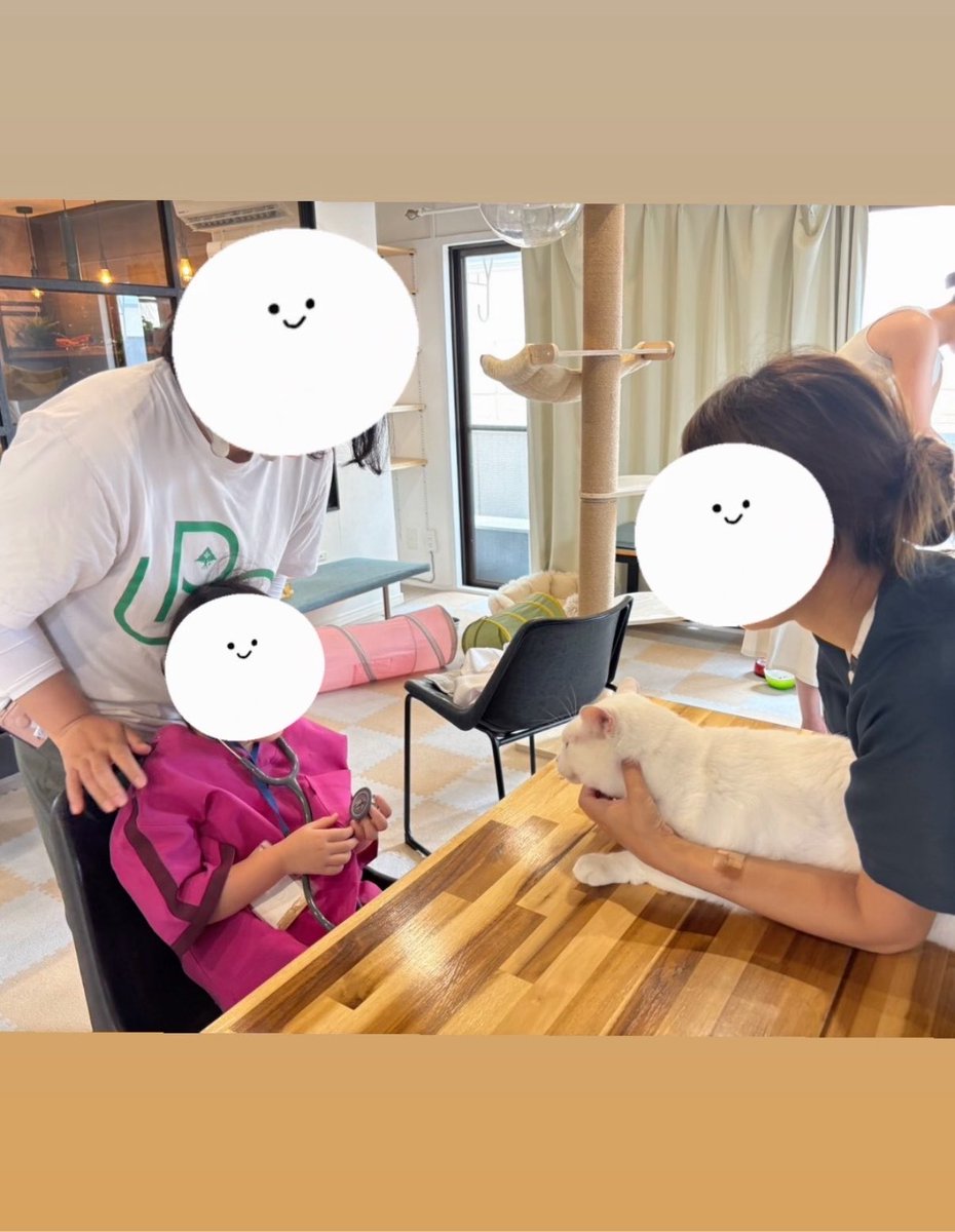 nnnvm0225's tweet photo. 😺獣医師体験イベント🐶🩺🫀

全日程、定員🈵に達しました。
次回も長期休みに予定してます✨

地域の皆様にもっと愛されるお店になり
たくさんの保護犬、保護猫との
幸せなご縁を紡げるような
動物福祉が広まるような
様々な企画を今後もしていきたいです🎶

六会日大前 保護犬猫カフェつむぎ🌷 https://t.co/Jla2kkCPm6
