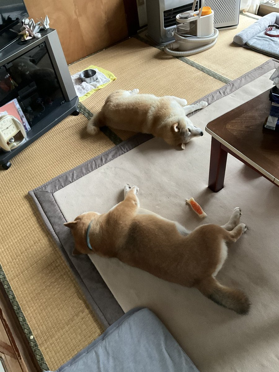 GMJpaCSCbuIDYDw's tweet photo. 家賃を一円も払ってない人の態度 https://t.co/0u3fjNArOx