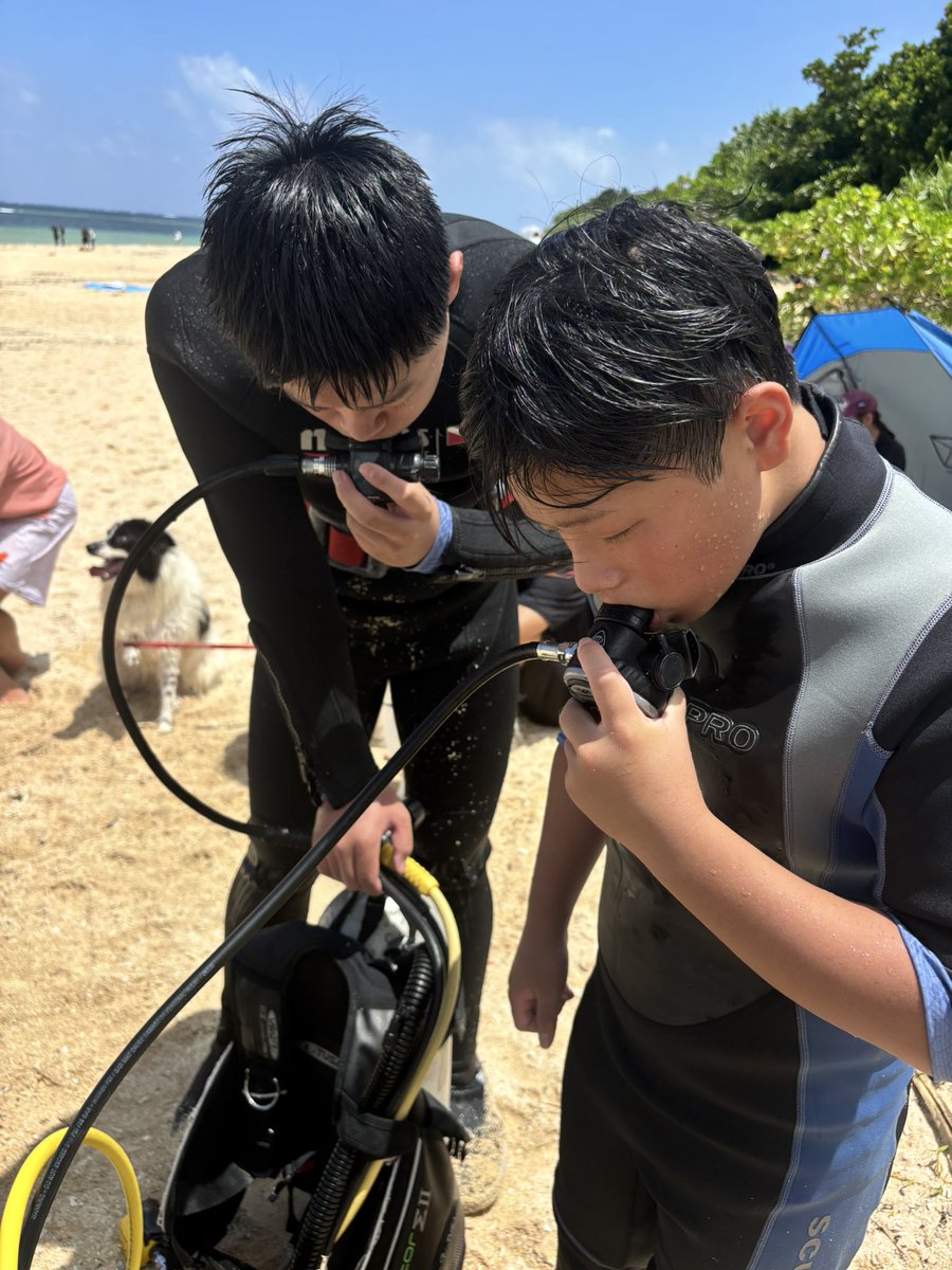 WAKEUPCALL8's tweet photo. 2026.8.6米原ビーチ体験ダイビング 

https://t.co/a6urL8tVif

https://t.co/4TQAHbMj3K https://t.co/vOXJV6PEjJ