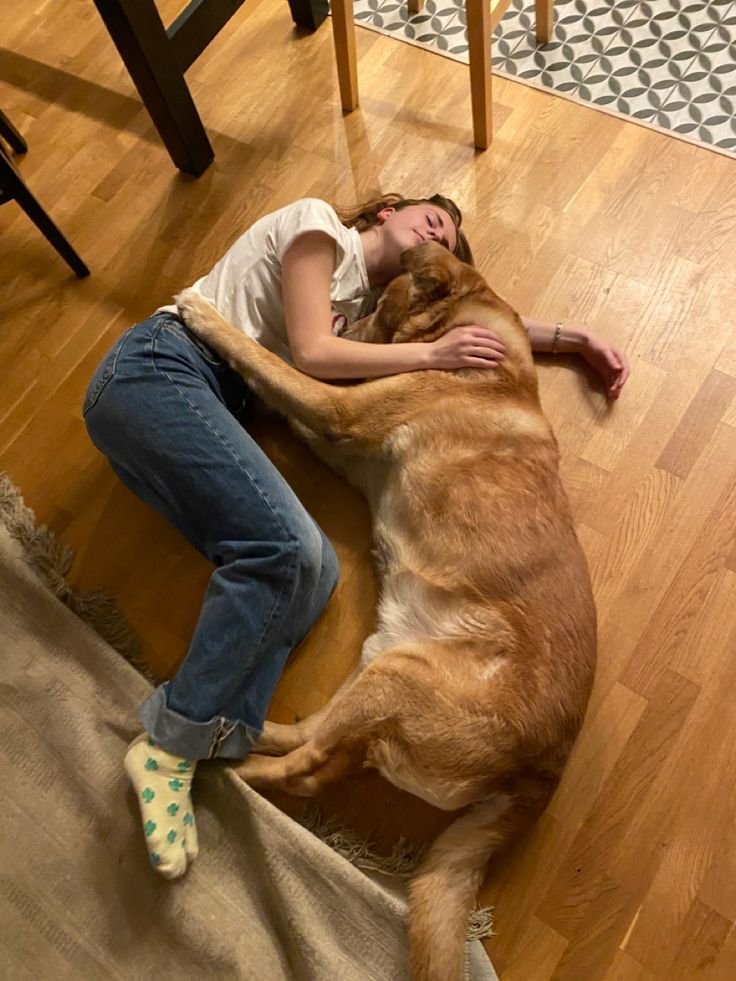 Brihannah25's tweet photo. Add me up for my premium K9 videos🤤🐾 and channel add up
Telegram @ https://t.co/LzY7WDKail
 
#bestiality #doglover #dogknotting #knotty #dog #puppy #dogwhore #dogwoman #artofzoo #aoz #dogwoman #Canadá #dogsoftwitter
#artofzoofirsttime #Italy #México #usa567 https://t.co/c1EO61hOTF