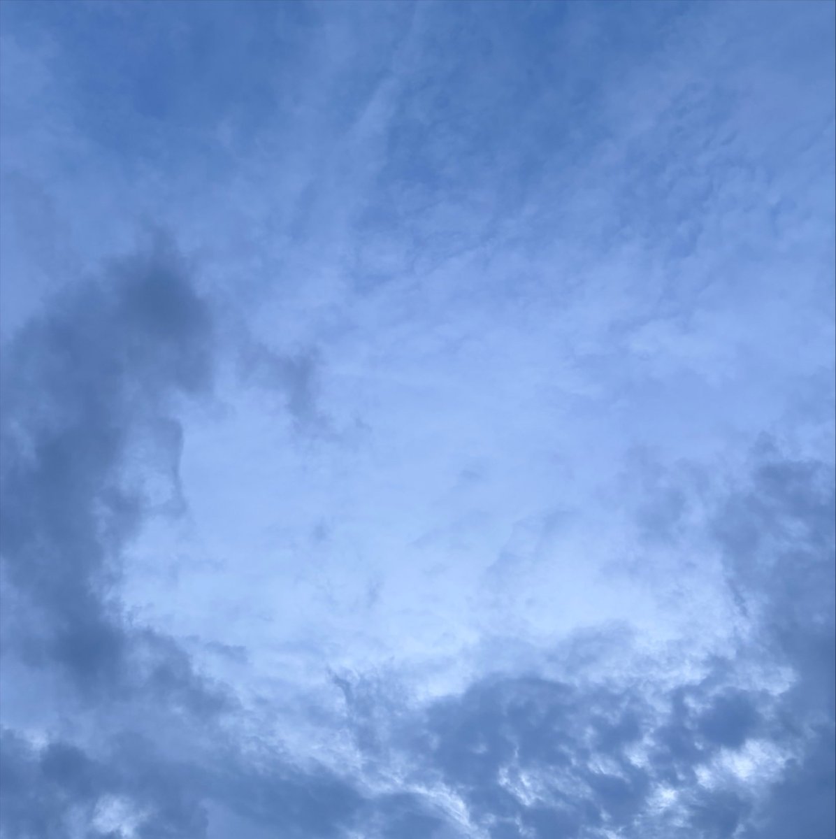 chivaszy's tweet photo. ☁️ https://t.co/iP7Voy22jO