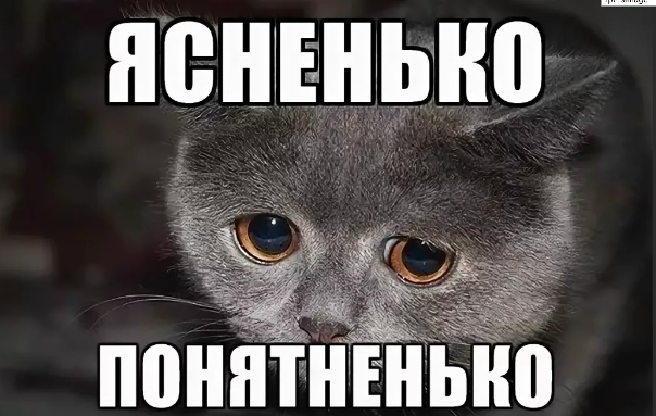 NamelessOne22 tweet picture