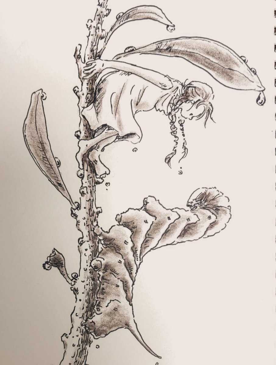 gaozoo's tweet photo. イモムシにカメラを向けたらこんなに半身を上げてきました！
でも絵文字も同じポーズ🐛だからよくするのかな。
周りの葉っぱがずいぶん食べられていました。

#イラスト #ペン画 #イモムシ #pen #caterpillar https://t.co/8LCJLOHxEi