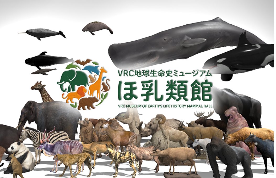 sinpei_VRC's tweet photo. VRC地球生命史ミュージアム ほ乳類館［JP/EN］を公開しました。sketchfabを主にCCライセンス下で公開されている哺乳類の3Dモデルを収集、9つの展示室で150種以上を展示しています。哺乳類の進化からその特徴、多様性まで幅広く学べるワールドです

↓ツリーで各展示室を紹介してます
#VRChat_world紹介 https://t.co/bRIYW3n2zt
