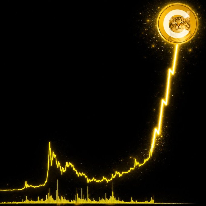 MoEthWhale's tweet photo. We had dog(e), now we have cat(e).  

$CATE thesis is that simple.   

Catecoin has just started the most hated billion-dollar rally we will see in memecoin history. https://t.co/uZUol2Kilm