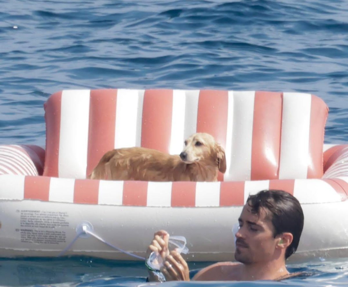 lecle16c's tweet photo. a vida de herdeiro do leo leclerc. na próxima vida, quero nascer como cachorro do charles. https://t.co/hncK8liujk