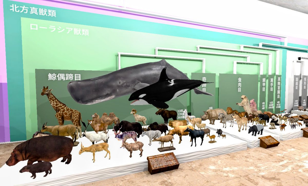 sinpei_VRC's tweet photo. VRC地球生命史ミュージアム ほ乳類館［JP/EN］を公開しました。sketchfabを主にCCライセンス下で公開されている哺乳類の3Dモデルを収集、9つの展示室で150種以上を展示しています。哺乳類の進化からその特徴、多様性まで幅広く学べるワールドです

↓ツリーで各展示室を紹介してます
#VRChat_world紹介 https://t.co/bRIYW3n2zt