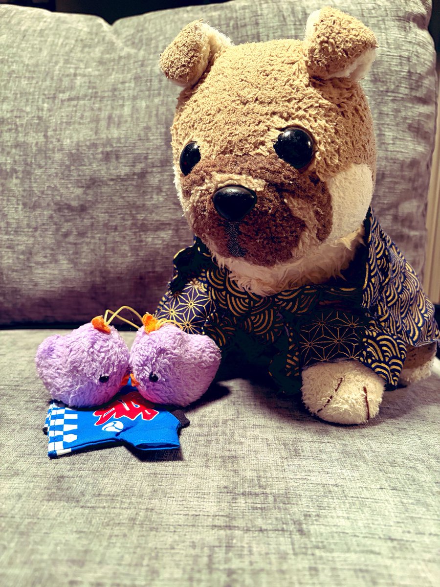 kapikapi1224's tweet photo. 近所の夏祭りに行ってきたよ！近所すぎるからカピの浴衣姿だけアップ👘🎆
アケビとオチョボも法被の取り合いしてる…笑 https://t.co/a4okB72DGz