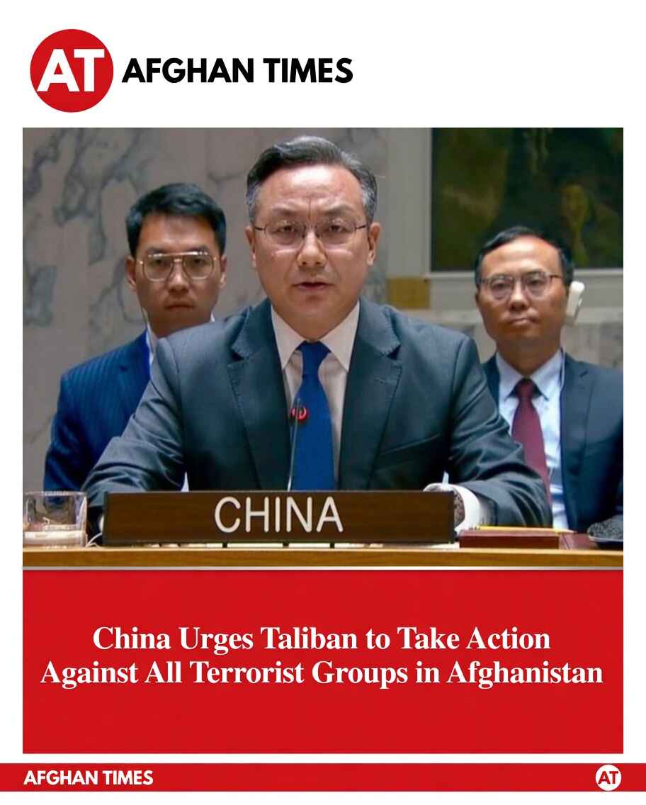 China Urges Taliban to Combat Terrorist Threats Amid UN Security Council Discussions