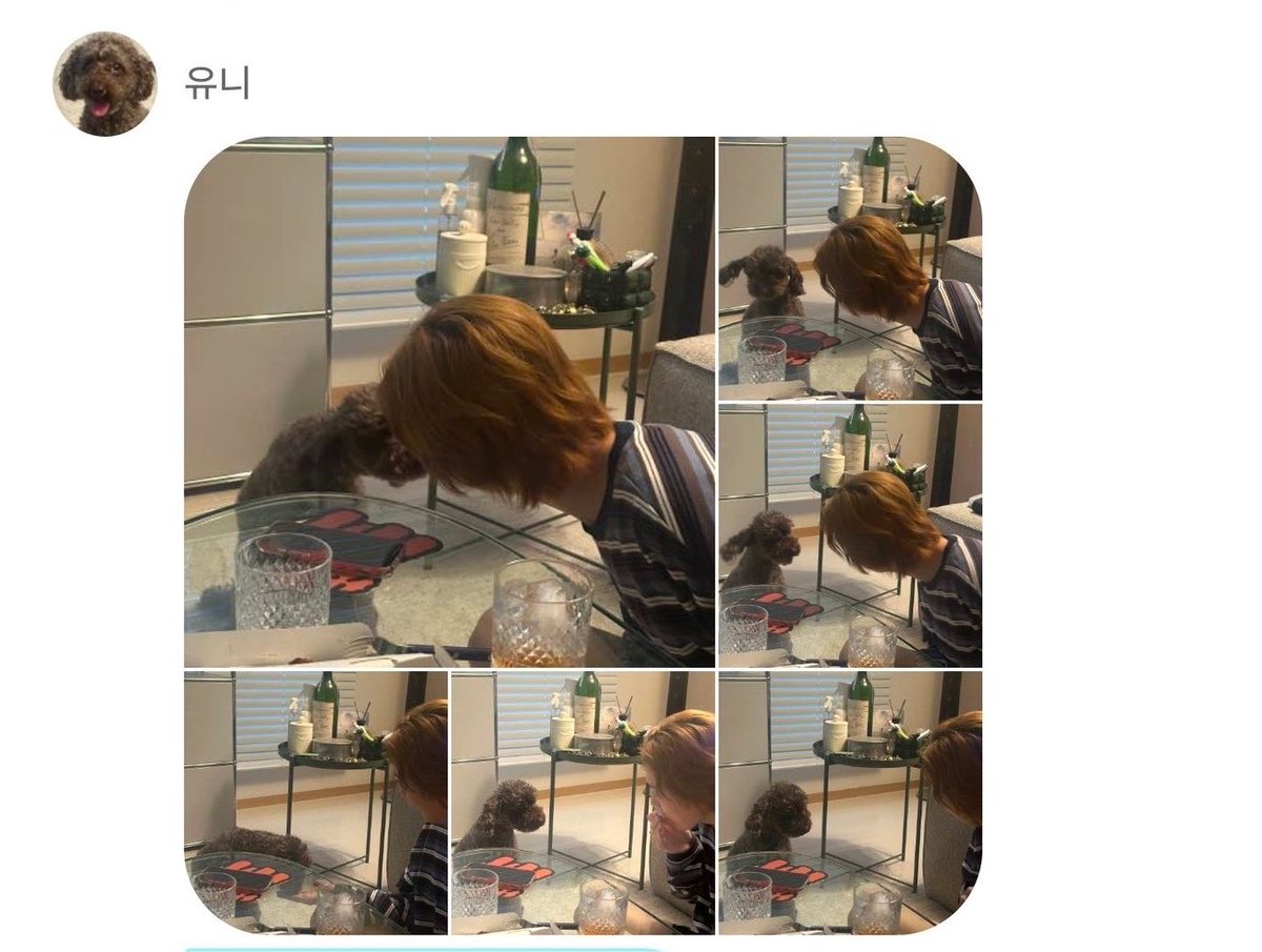 AlwaysKJW_PH's tweet photo. [📸WEVERSE DM]

#YOON DM update with #JINU and Thor 😚

#KeepingUpWithJINU 📝
#김진우 #JINWOO #KIMJINWOO @official_jinu_ @yginnercircle #xxjjjwww #rednote https://t.co/VPEcQAzyyH