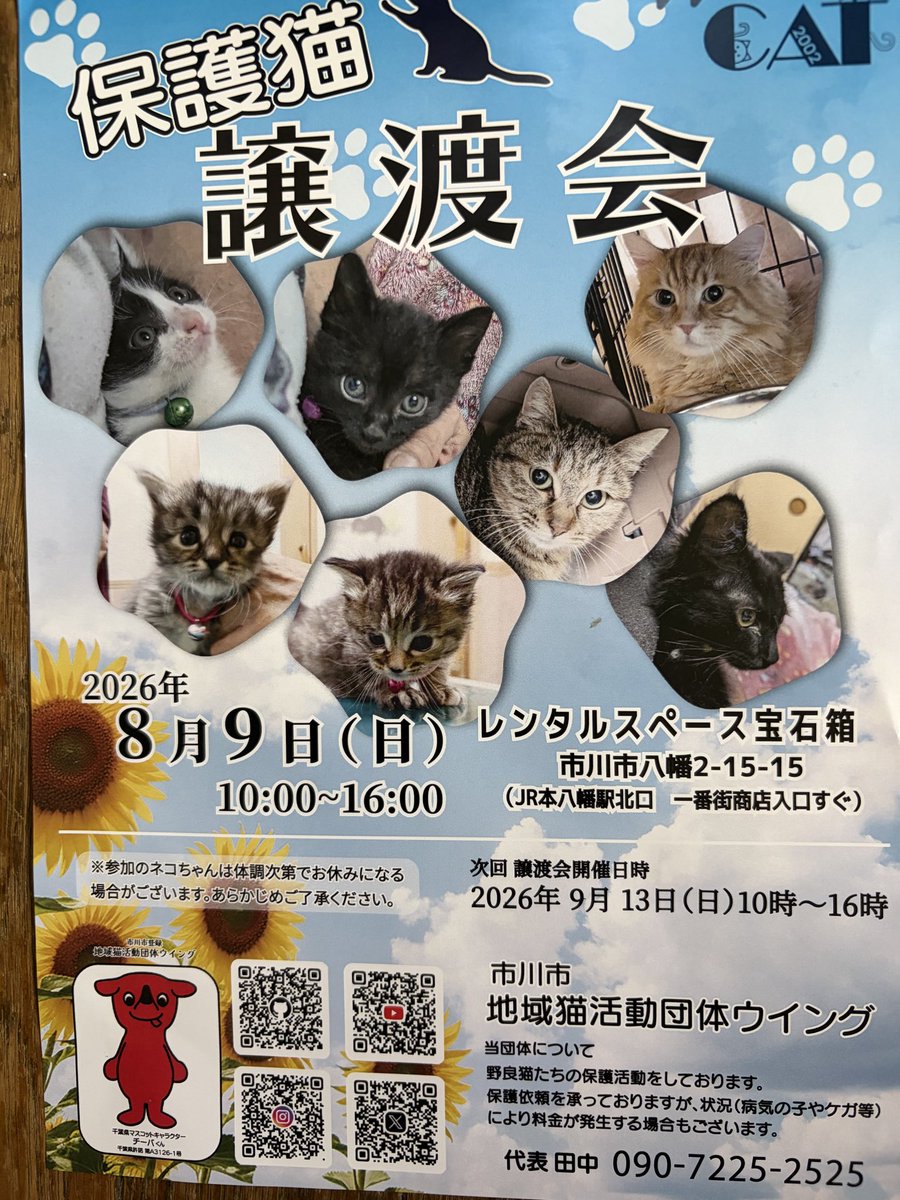 housekibako_yi's tweet photo. 8/9(日)は

保護猫の日🐈
ウイングです💓

とても暑くなりそうな日ですが、保護ニャンズは待っています！

どうぞ暑さ対策万全にして、お出かけ下さい
🙏
10:00-16:00
@wingcat2002 

#地域猫活動団体ウイング
#譲渡会
#保護猫を家族に
#レンタルスペース宝石箱 https://t.co/Azc2EGWHep