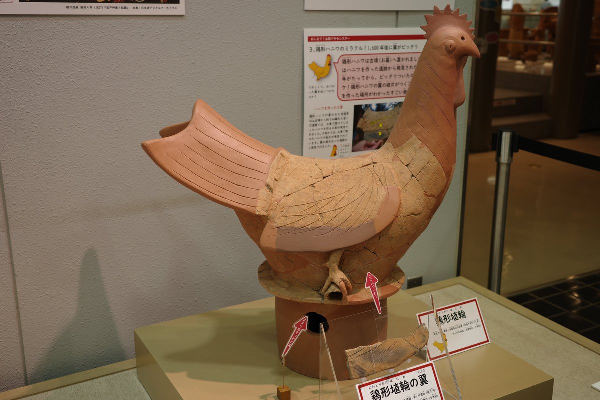takasaki_notes's tweet photo. 赤堀歴史民俗資料館「土器ドキ��ンスター大集合」へ。
鶏形埴輪「ハニ・ワトリー」など、キャラクター化した展示は考古学への入口として楽しめました。

若狭徹先生の講演で印象に残ったのは、初期の埴輪では王の姿は表さず、家形埴輪や器財埴輪によって王の存在を表現していたという視点でした。 https://t.co/gthR1qlZ3V