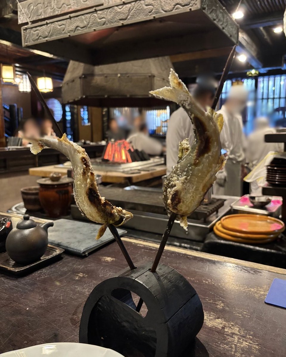 utau_mashiemo's tweet photo. 囲炉裏を囲む古民家のような空間が印象的。鮎の塩焼き、茄子田楽、さざえ壺焼きなどどれも美味✨鮎は炭火で香ばしく焼き上げられ身はふっくら。目の前の囲炉裏で焼き上げる炉端焼きならではのライブ感も魅力。魚介好きや、落ち着いた雰囲気でゆっくり食事やお酒を楽しみたい方に😉
📍陸蒸気  #炉端焼き https://t.co/nTlzYblMHA
