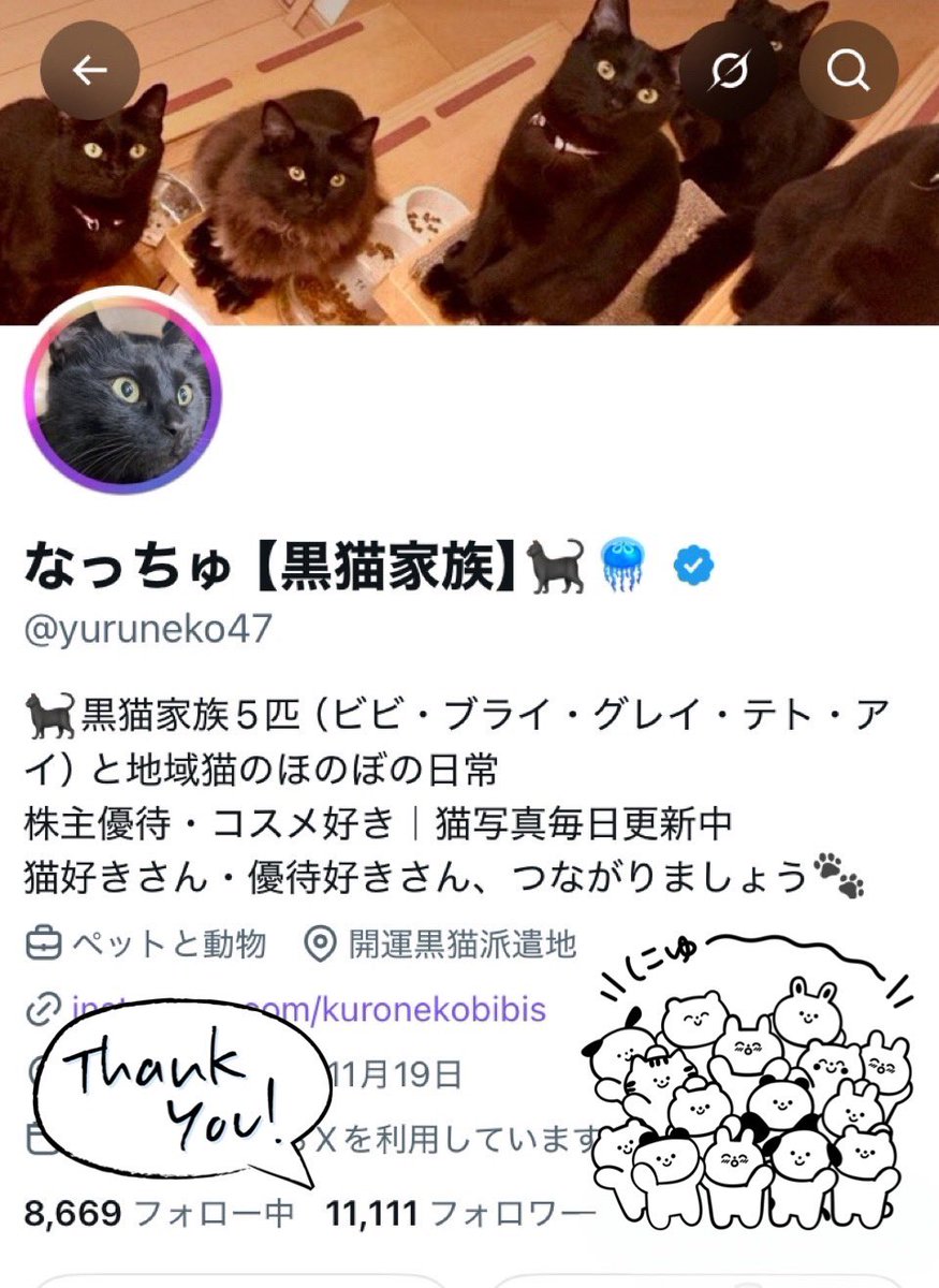 なっちゅ【黒猫家族】🐈‍⬛🪼 (@yuruneko47) / Posts / X