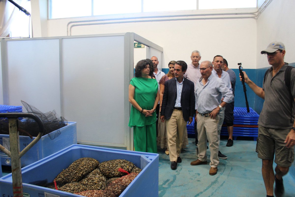 AtanetMario's tweet photo. Invertimos 3 millones en el puerto de Bonanza para mejorar las condiciones de los pescadores de Sanlúcar de Barrameda.

Forma parte de la Estrategia de modernización de los puertos del Gobierno de @JuanMa_Moreno para un sector clave en la economía con 20.000 empleos en Andalucía. https://t.co/NCXsCrwbTY