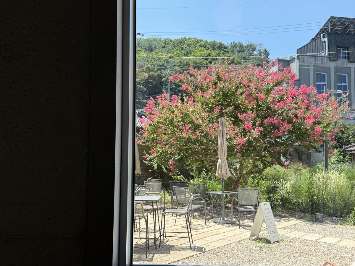 Emma__0070's tweet photo. Jeonju trip with my puppy🐾 
It was way too hot outside, so we sprinted right into a cafe💨

Such a pretty spot to recharge and heal. Happy moments with my pup🍃🌼

#JeonjuCafe #Travel #DogStagram
#Daily #Summer https://t.co/bL7t3GVYAX