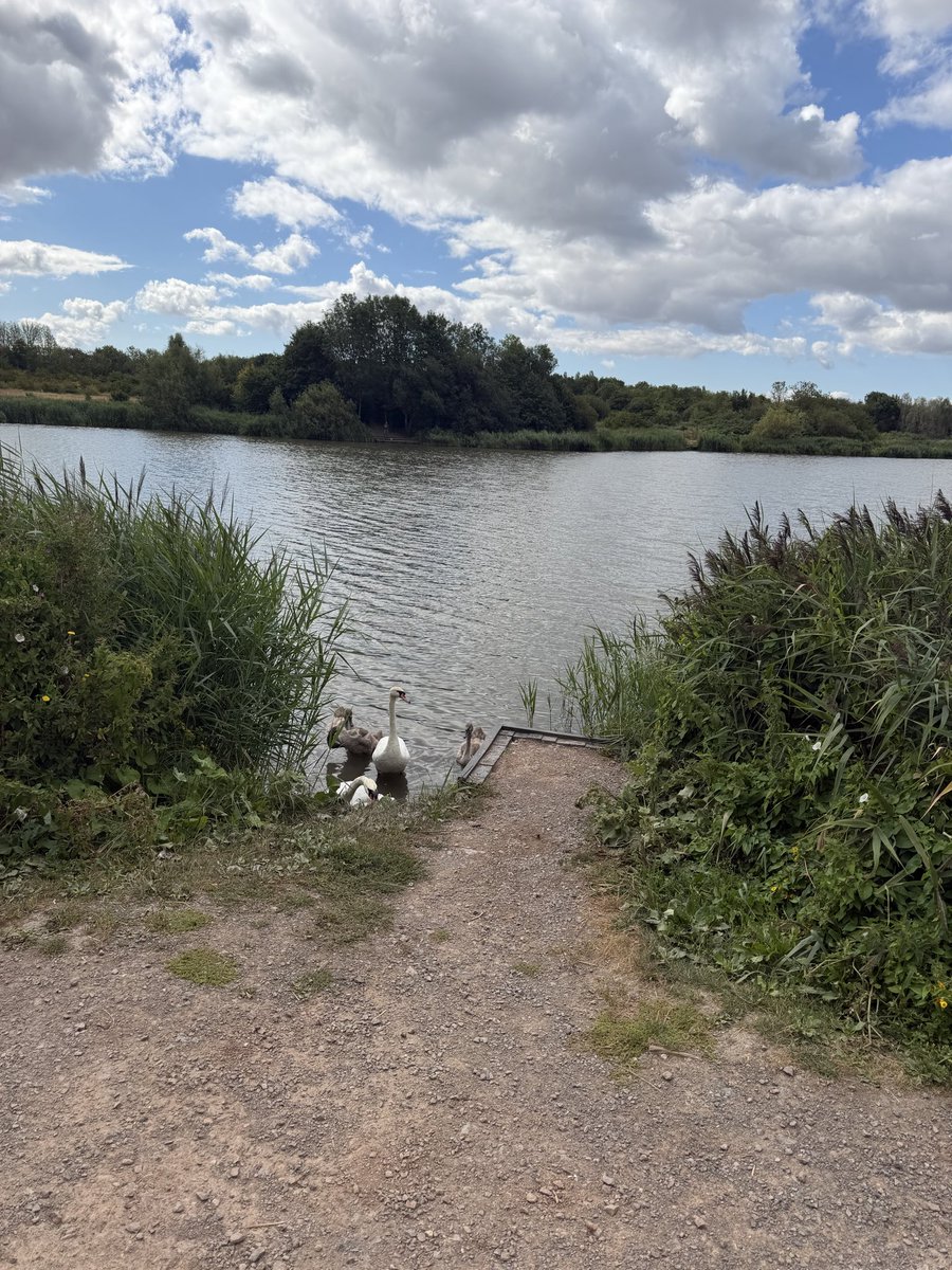 Buttercups2018's tweet photo. A lovely walk to the lake this morning 🦆🍃 https://t.co/LmRLkiOqP4