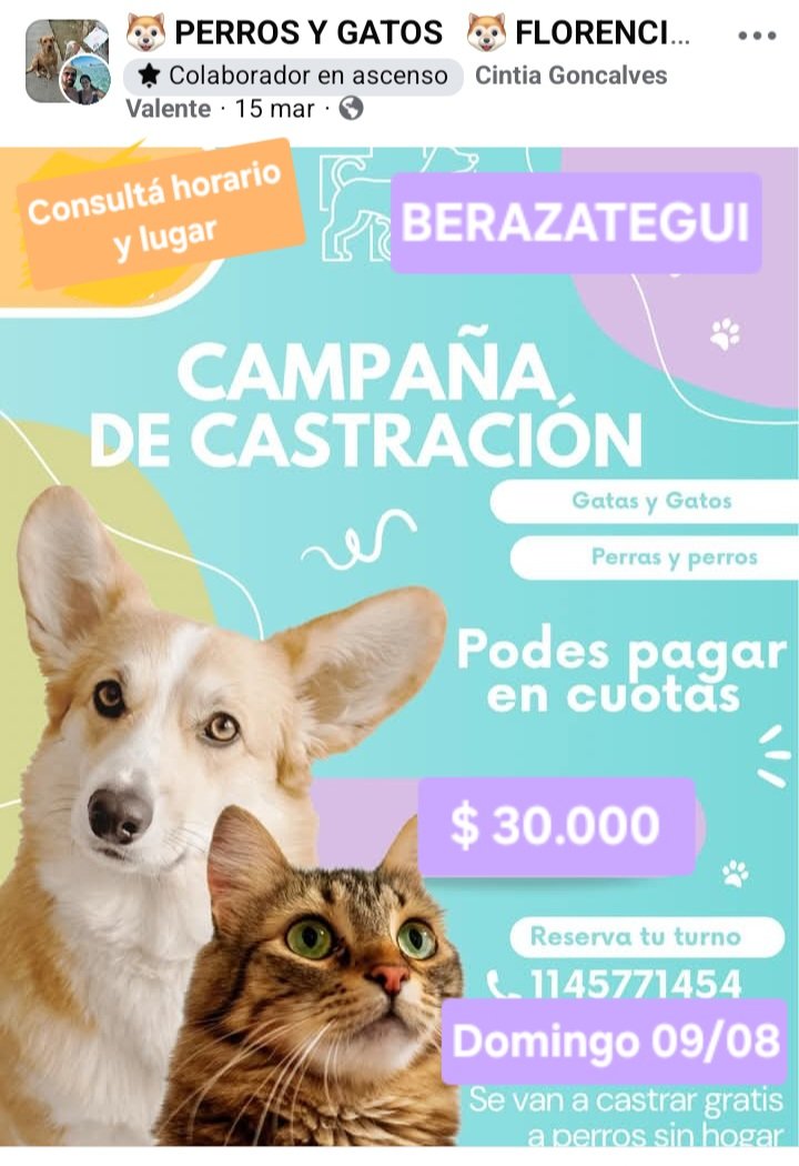 protegealanimal's tweet photo. BERAZATEGUI 
#BERAZATEGUI #VILLAMITRE #BERAZATEGUIOESTE #PLÁTANOS #VILLAESPAÑA #RANELAGH #GUILLERMOEHUDSON #ZONARURALNORTE #ZONARURALSUR #PEREYRA #ELPATO #SOURIGUES #JUANMARÍAGUTIÉRREZ #GUTIÉRREZ #ZONASUR #GRANBSAS #BSAS #BUENOSAIRES #CONURBANO https://t.co/RnlONguhyX
