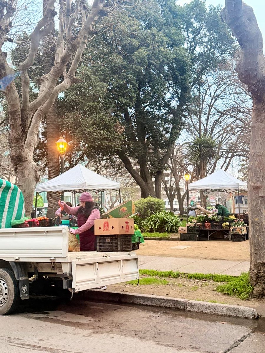 vinadenuncia's tweet photo. Se me olvidó comentarles que todos los días #miércoles se instalan en la plaza de 4 norte con libertad los feriantes y atienden desde muy temprano , a las 07.30 ya estaban ahí , apoyemos a nuestros vecinos con sus pymes !! 
#viñadelmar #apoyemoscomerciolocal https://t.co/ZwjAw9YAL7