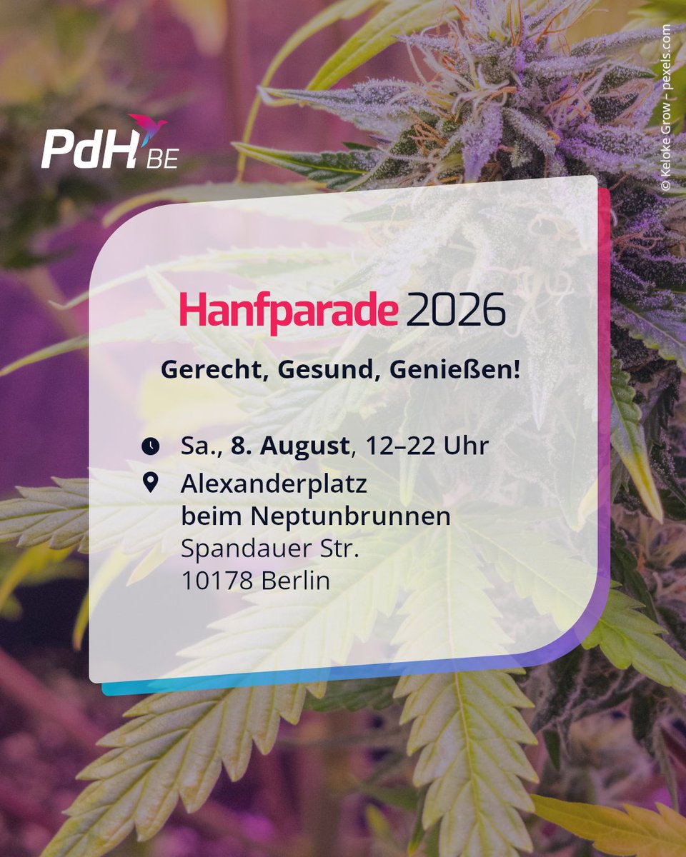 PdH_BE's tweet photo. Wir sind am Samstag bei der @hanfparade am Start: für eine moderne Drogenpolitik! Unser Landesvorsitzender Henry Schmidt wird dort an der Podiumsdiskussion „Gesund“ teilnehmen.
Seid auch dabei &amp; kommt zu unserem Stand!

🕛 Sa., 8. August, 12–22 Uhr
📍 Alexanderplatz/Neptunbrunnen https://t.co/JhRV6qEjpo