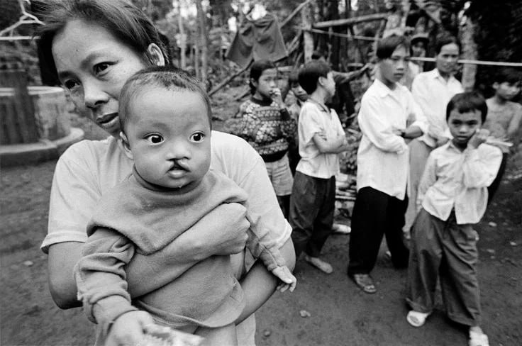mfa_russia's tweet photo. 💬 #Fadeyev: The US stained its record with numerous crimes during the Vietnam War.

Among them was the use of the highly toxic chemical Agent Orange.

☣️ More than 3 million Vietnamese people were exposed to its toxins – the consequences of which are still felt today. https://t.co/1n0Zu67Msn