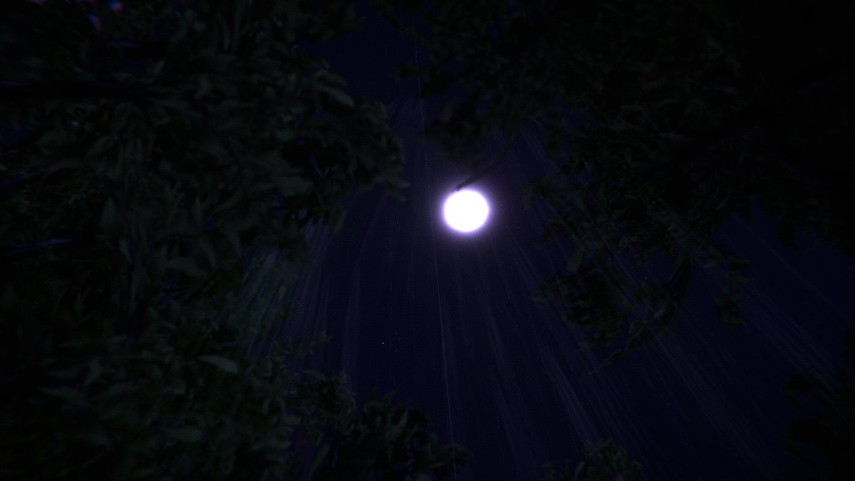 noami2539's tweet photo. Wandering through the moonlit whispers of the dark forest. 🌙🌲💜
月光と 紫の 影が 織りなす、夜の 森の 囁き。

🌐: 微睡む森
 by : Mashiro 真白

#VRChat
#VRChat_world紹介
#VRChatPhotography https://t.co/Sh2YmlFfRs