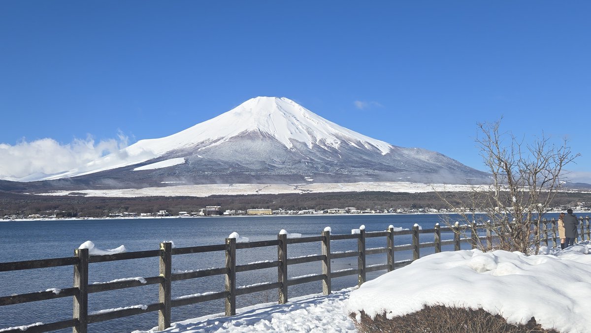 yuchinyoall's tweet photo. @PeroperoTrip 意外と無いなぁ https://t.co/JRekE6Ua01