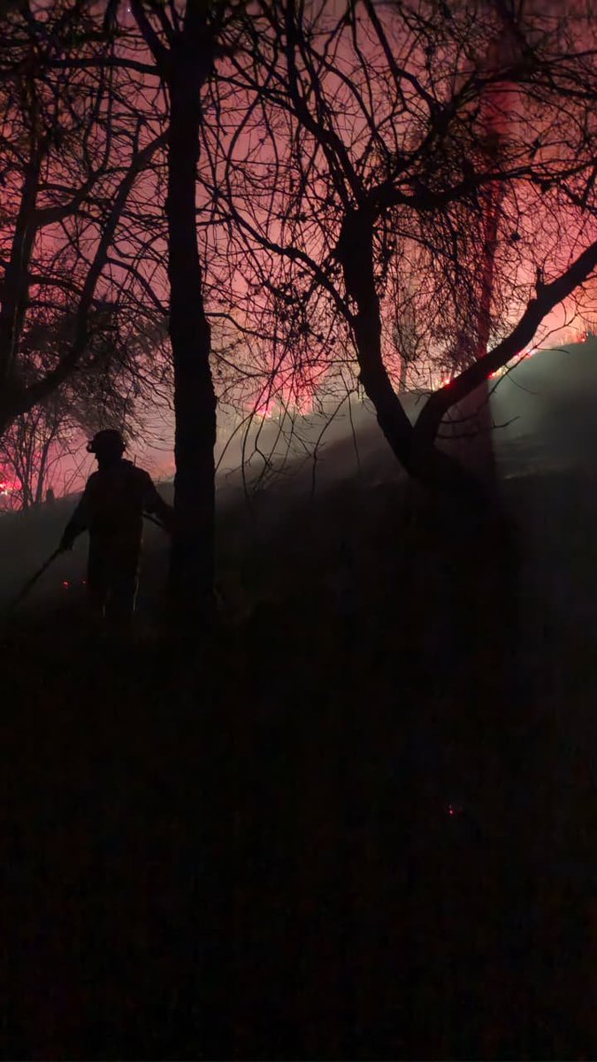 NuevoTiempoCue's tweet photo. 🚫#ATENCIÓN | Más de 3 hectáreas de bosque de pino fueron consumidas la noche del miércoles por un incendio forestal en el sector de Tutupali, #Cuenca.
Personal de #BomberosCuenca trabajó hasta la noche para controlar y extinguir las llamas, evitando que el fuego se propagara hacia otras áreas.
Fotos: Bomberos Cuenca
