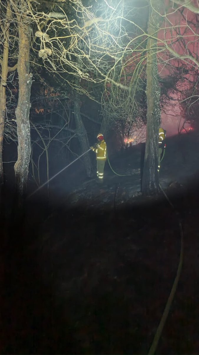 NuevoTiempoCue's tweet photo. 🚫#ATENCIÓN | Más de 3 hectáreas de bosque de pino fueron consumidas la noche del miércoles por un incendio forestal en el sector de Tutupali, #Cuenca.
Personal de #BomberosCuenca trabajó hasta la noche para controlar y extinguir las llamas, evitando que el fuego se propagara hacia otras áreas.
Fotos: Bomberos Cuenca
