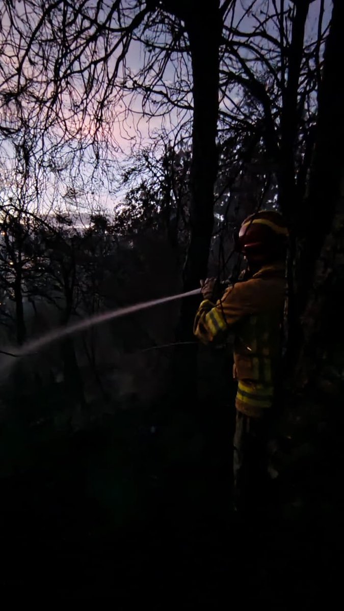 NuevoTiempoCue's tweet photo. 🚫#ATENCIÓN | Más de 3 hectáreas de bosque de pino fueron consumidas la noche del miércoles por un incendio forestal en el sector de Tutupali, #Cuenca.
Personal de #BomberosCuenca trabajó hasta la noche para controlar y extinguir las llamas, evitando que el fuego se propagara hacia otras áreas.
Fotos: Bomberos Cuenca