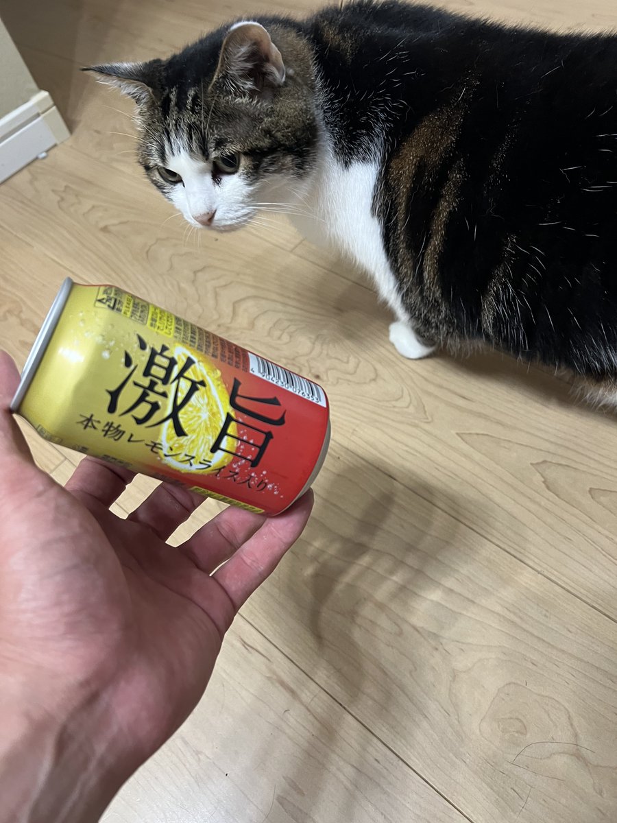takeyua05's tweet photo. (。-`ω´-)ﾝｰ

リピなし https://t.co/iZlYvfcCZ6