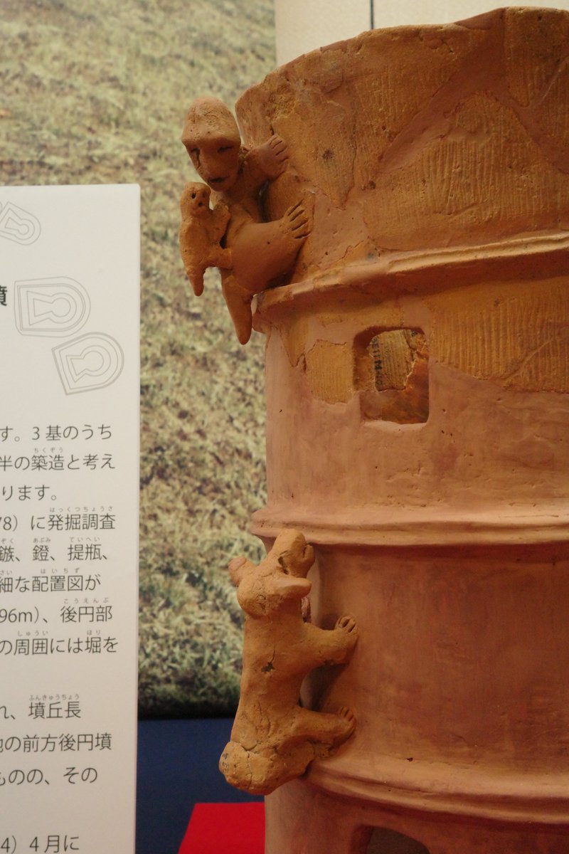 takasaki_notes's tweet photo. 粕川歴史民俗資料館企画展「二子山の100年」へ。
はにわ展でも人気だった犬猿円筒埴輪や顔が描かれた円筒埴輪をゆっくり見学。大室・総社の二子山古墳の魅力を改めて感���ました。地蔵塚古墳出土の双脚盛装男子像も印象的でした。 https://t.co/dJECpxgJhf