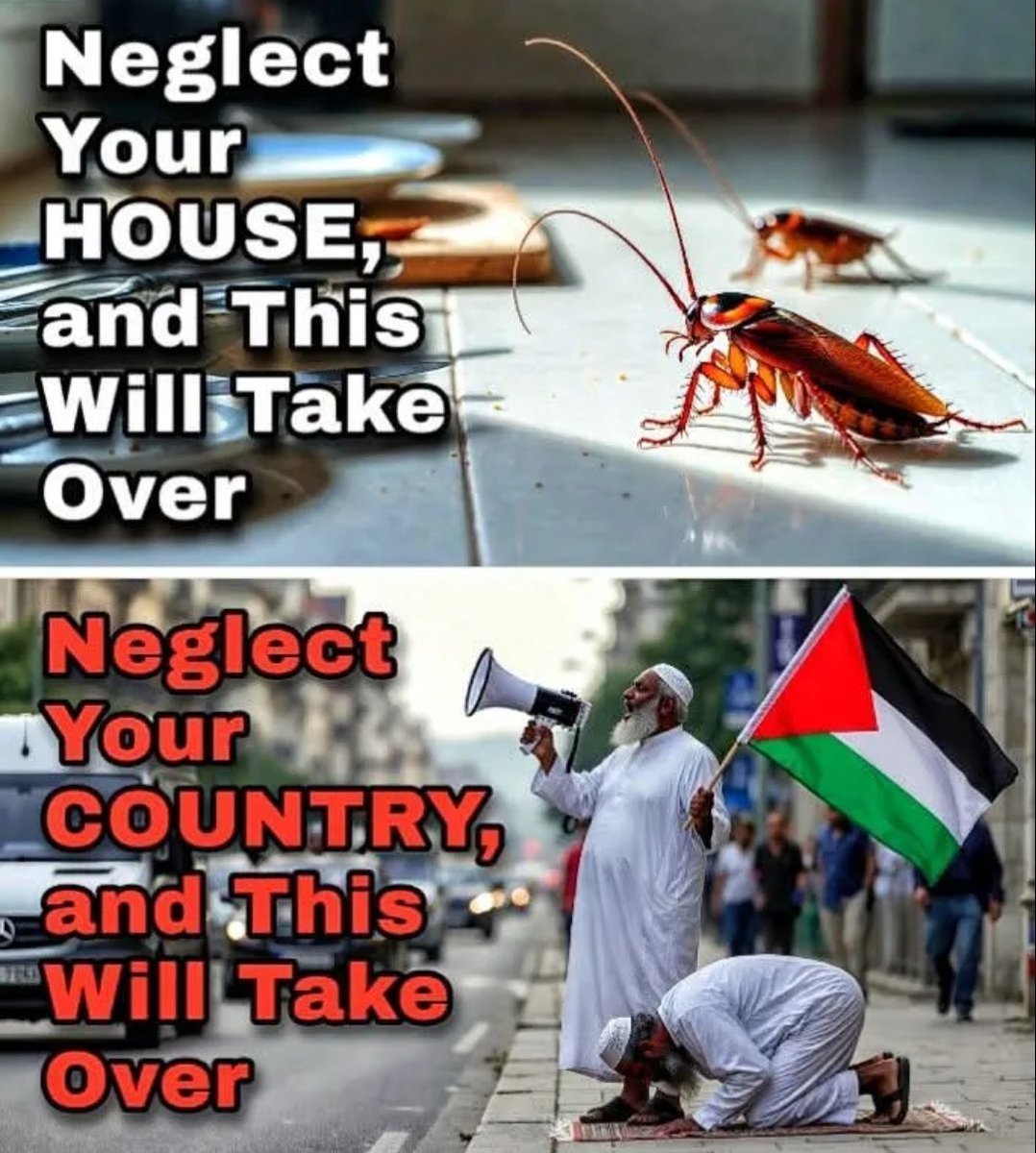 scopethetruth's tweet photo. you wouldn’t let cockroaches take over your kitchen… so why sit back and watch the same thing happen to your country? Do something now, or your kids will be the ones left cleaning up the mess. https://t.co/uM18axFnBG