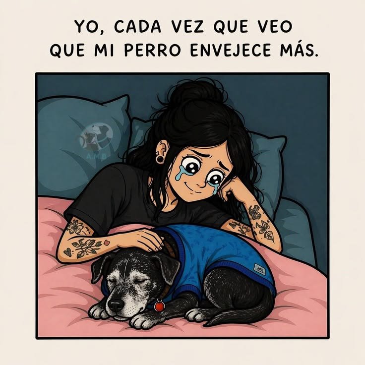 rey_latino33087's tweet photo. https://t.co/Umm1OQNYwC