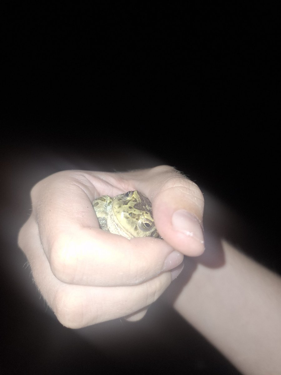 yoyeyix's tweet photo. i cant take it anymore i try to believe in good but every minute of my life is a fucking misery and my brain keeps reminding me that i will never be truly  loved because im broken since the very beginning of my life i dont have anything or anyone to hold onto 

catched a toad tho https://t.co/Ja94KyJfnJ