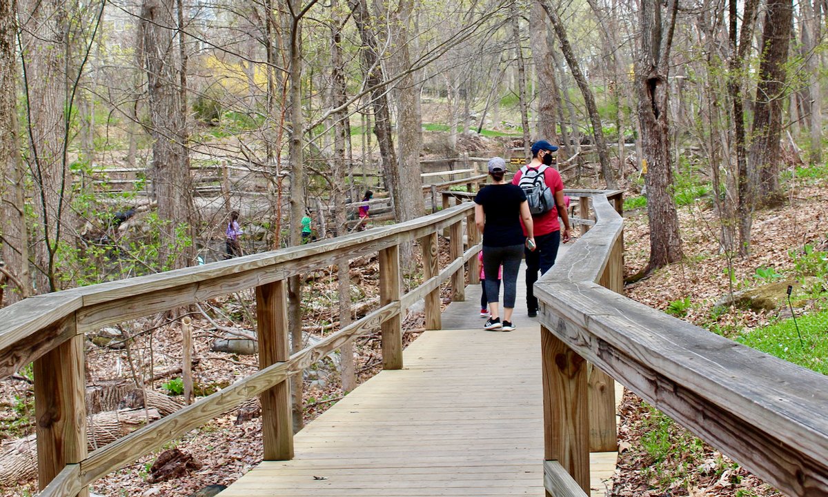 FreedomsWayNHA's tweet photo. 65 acres of gardens, trails & tranquility await. 🌿
https://t.co/dam155IHqe
#FreedomsWayNHA #VisitMA #Acton #ActonArboretum #NatureWalk https://t.co/oBr7ELP0X7