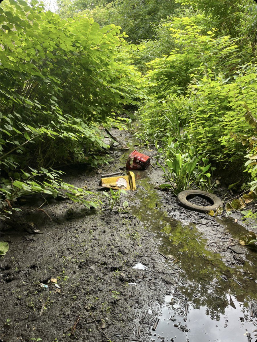 paulpowlesland's tweet photo. It’s the usual smoke & mirrors from the Environment Agency on this. 

The EA manipulates the data to make the current disastrous state of our rivers look better than it is by carefully choosing sampling points. I was surprised (given my knowledge of the river) to find out from the EA that the River Roding was ok & improving on most metrics. Then I found out that they have only *one* sampling point on the whole lower river & it’s conveniently located just above where the largest amount of sewage enters the river (see picture below) & where the river is most physically modified. How can we actually restore our rivers, rather than just pretending they are fine, without having a genuine picture of the health of the river? 

Even worse, tributaries like the Aldersbrook aren’t even monitored at all, despite them being important enough to warrant a permit regime with threat of jail if you touch the river without consent. I wonder if there should be a new ‘Water Framework Directive’ classification of ‘Ecologically Dead; no plans to resurrect it’ for rivers like the Aldersbrook?