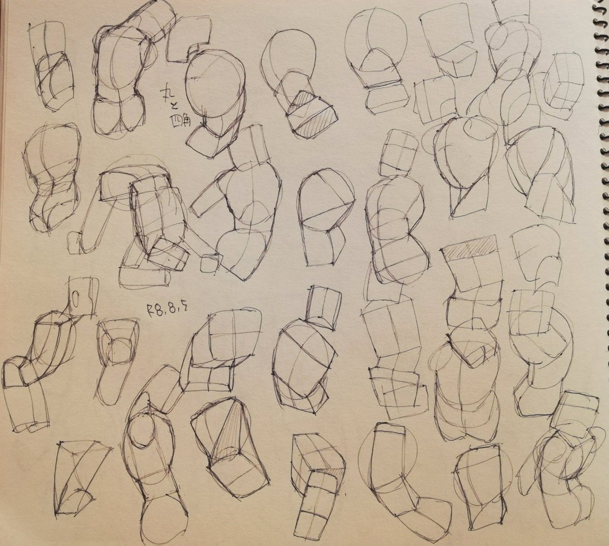 tena_kei's tweet photo. 年明けからコツコツやっている練習。立体把握が出来るようになれば描けるもの増えると思うんだけどなぁ。 https://t.co/YD29BPV1nE