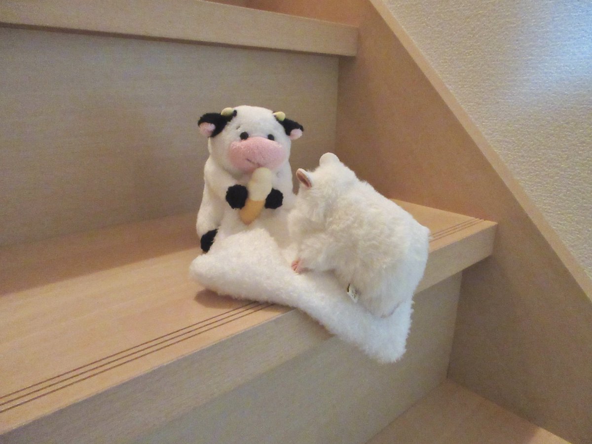 _softushi's tweet photo. 🐹ﾝｼｮ ﾝｼｮ
🍦ﾌ〜
🐹ｳ〜〜〜……
🍦あとちょっとだよ〜、がんばろ〜！ https://t.co/FMJE7gcZpy