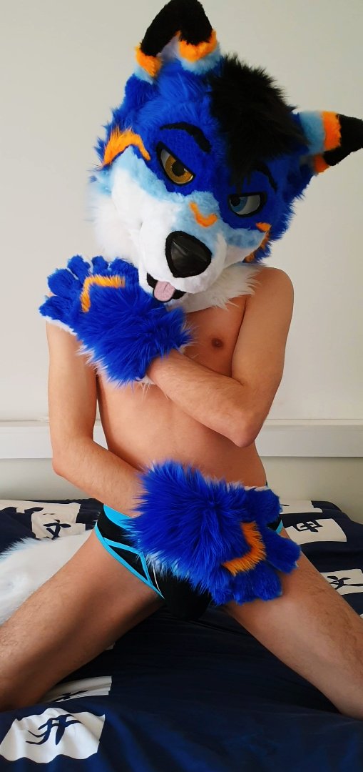 DashWolf_AD's tweet photo. Just came 3 times last night💦💦💦~ Wanna be part of my Wolfopack ? ~ Grrrrr

⚠️~ Opening this AD to public ~⚠️
Let's see how much i can make myself desired ~
💙🐺🔥

#nsfw #gay #nude #yiff #furrynsfw https://t.co/HUVJ65bhSS
