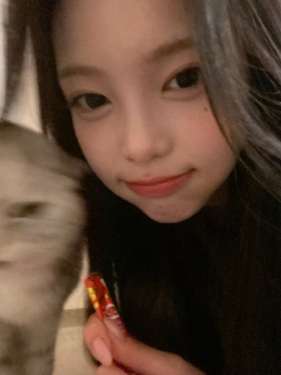 H2ioS2's tweet photo. 이안이는,
고양이로 태어났지만 고양이랑 친하진 않음 https://t.co/ei86WPPoNF